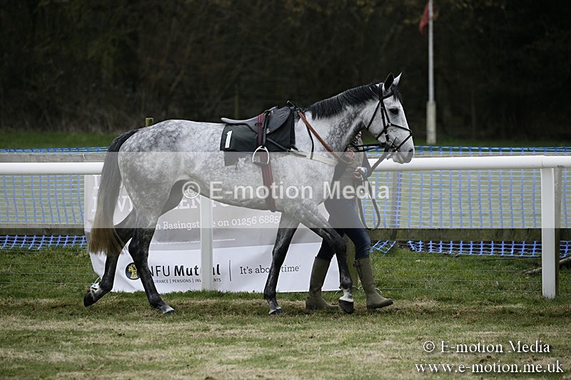 PtP 110318 4 - Hampshire Hunt Point-to-Point Hackwood Park 11/03/18