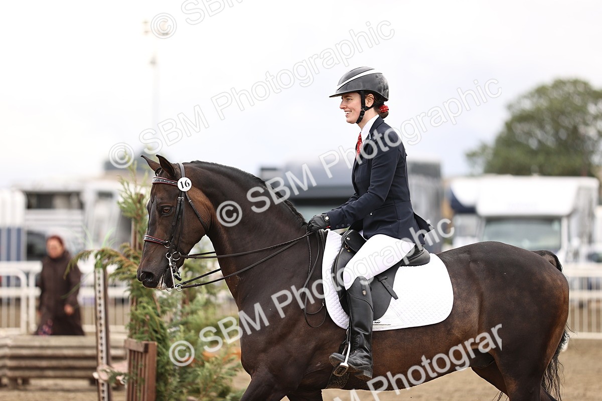SBM_01433 - Class 54 - Riding Club Horse Pony