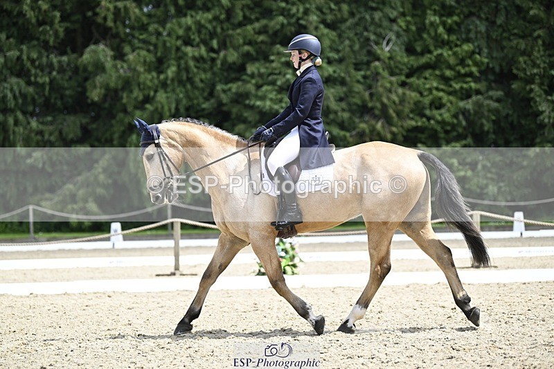 240523-133054-04803 - 109-MJM_BOBBY_DAZZLER-Rosie_Ringer