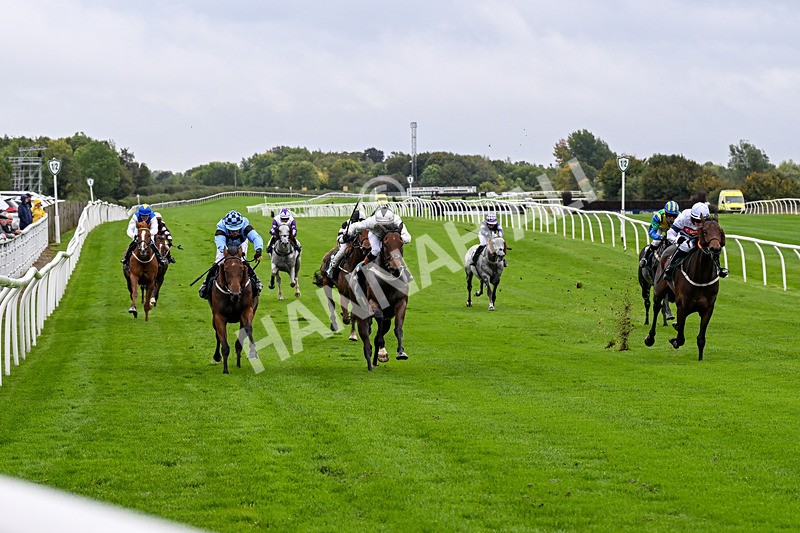 011025-Race 1-Edgewater Drive-0033 - Race 1