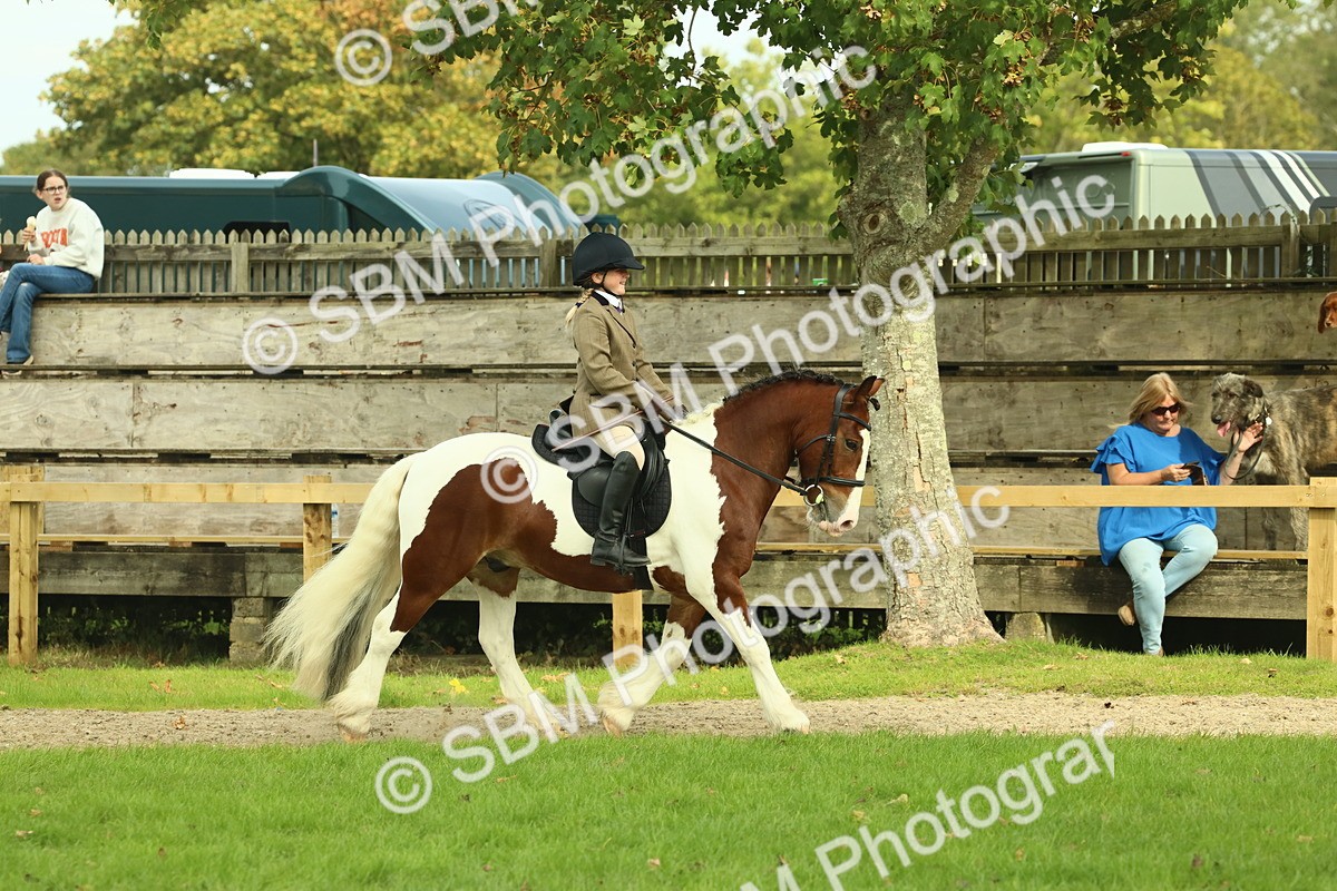SBM_68187 - S58 - Mini Show Cob Ridden