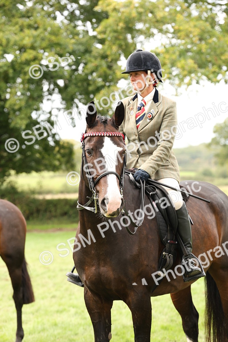 SBM_64286 - S65 - Riding Horse & Hack & Thoroughbred Ridden