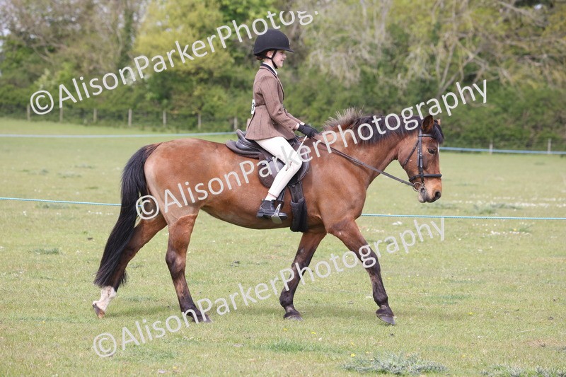20260426-2903 - Class 33 - Best Pony 14.2hh and Under