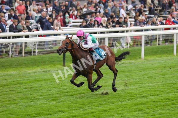 080924-Race 1-Windlord-4343 - Race 1 1.40pm British European Breeders Fund Novice Stakes