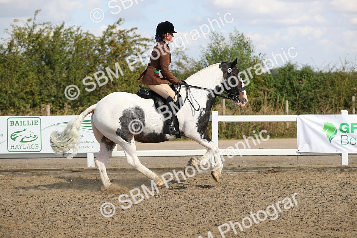 SBM_03311 - Class 44 Riding Club Horse/ Pony