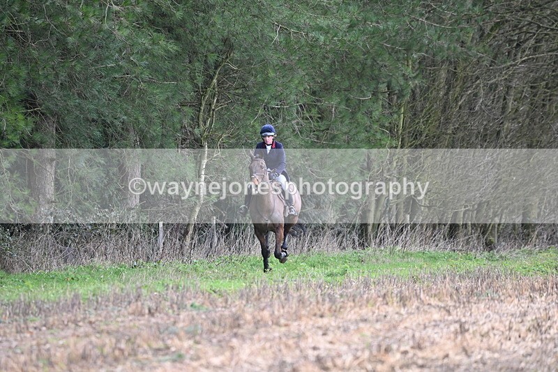 WJ6_9433 - Line Four