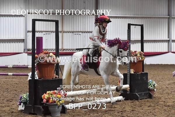 BPP_0273 - CLASS 3 50CM