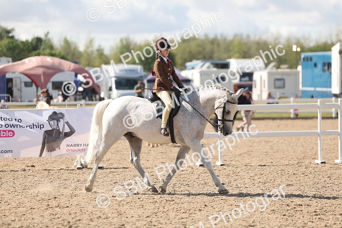 SBM_13182 - Class 306 - Ridden Foreign Breds - Part Bred