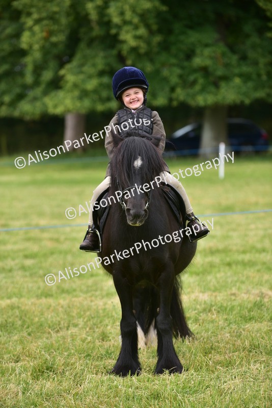 20260614-3702 - Class 15 - Prettiest Mare