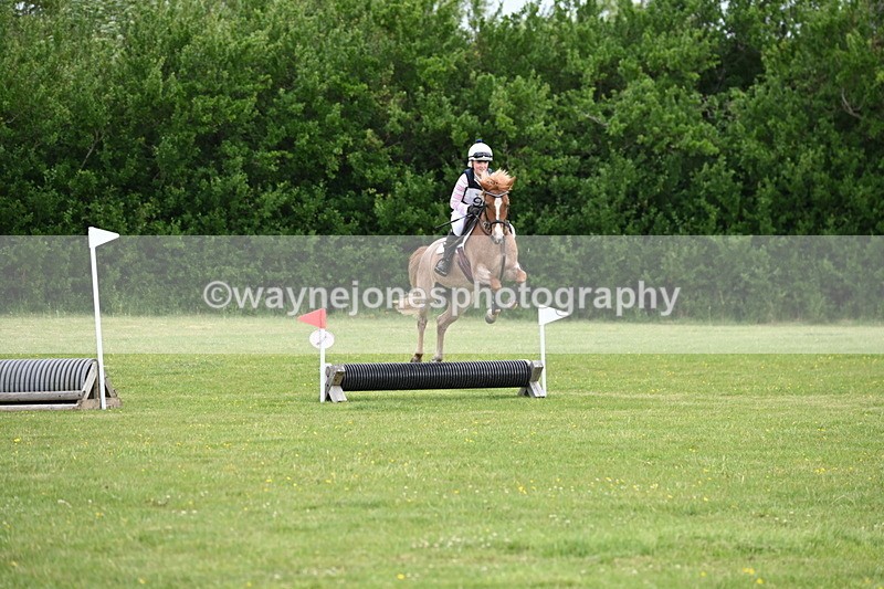 WJ6_2445 - Class 2 40cm