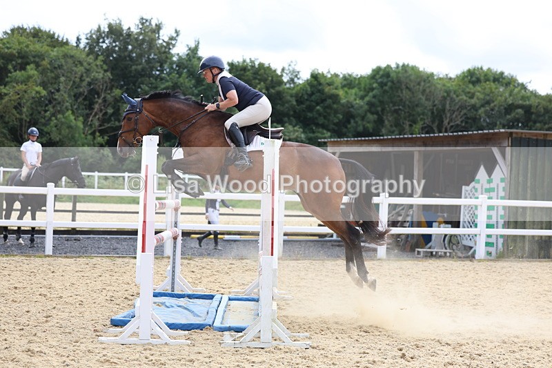 3E7A6542 - Class 9: Senior Foxhunter/1.20 open