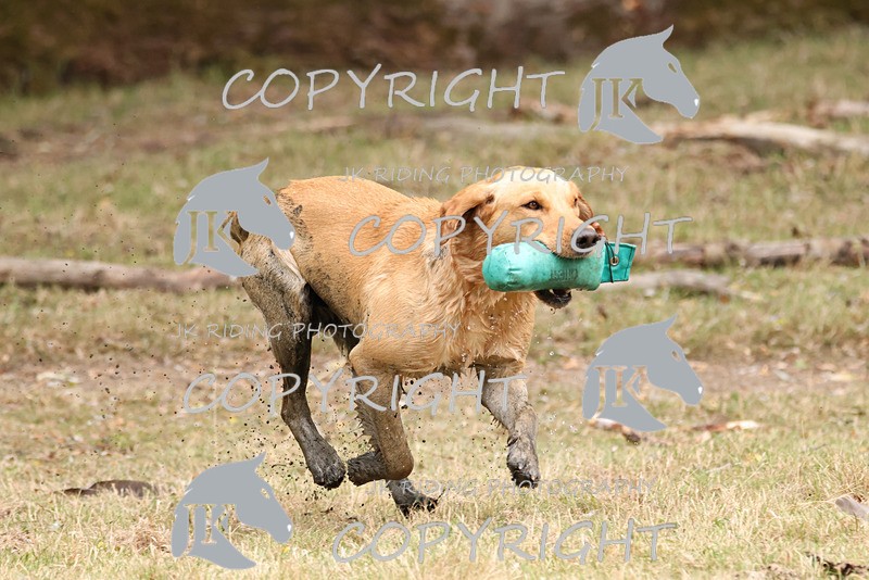2R6A3540 - ​TEAM A: BORDER COUNTIES & COTSWOLDS 1-2-3