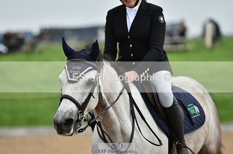 230902A-113042-00738 - Cls 2B Pony Small 80cm