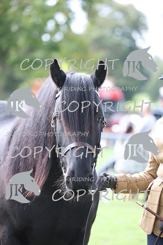 APP_2963 - Class 10a/b M&M in hand