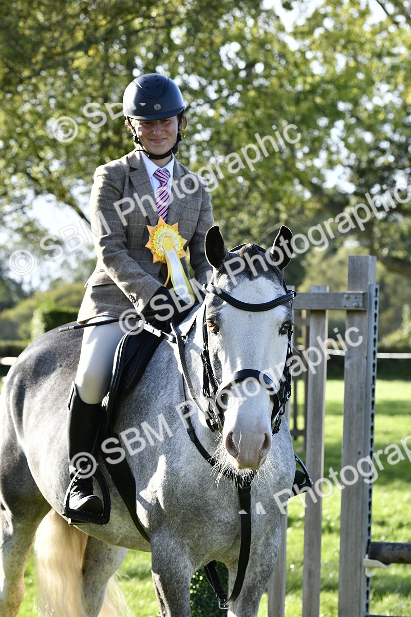 SBM_52273 - S35 - Working Hunter & Working Show Horse