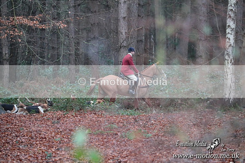HUPY 261224 77 - Pytchley with Woodland Hunt Boxing Day Meet 26th December 2024