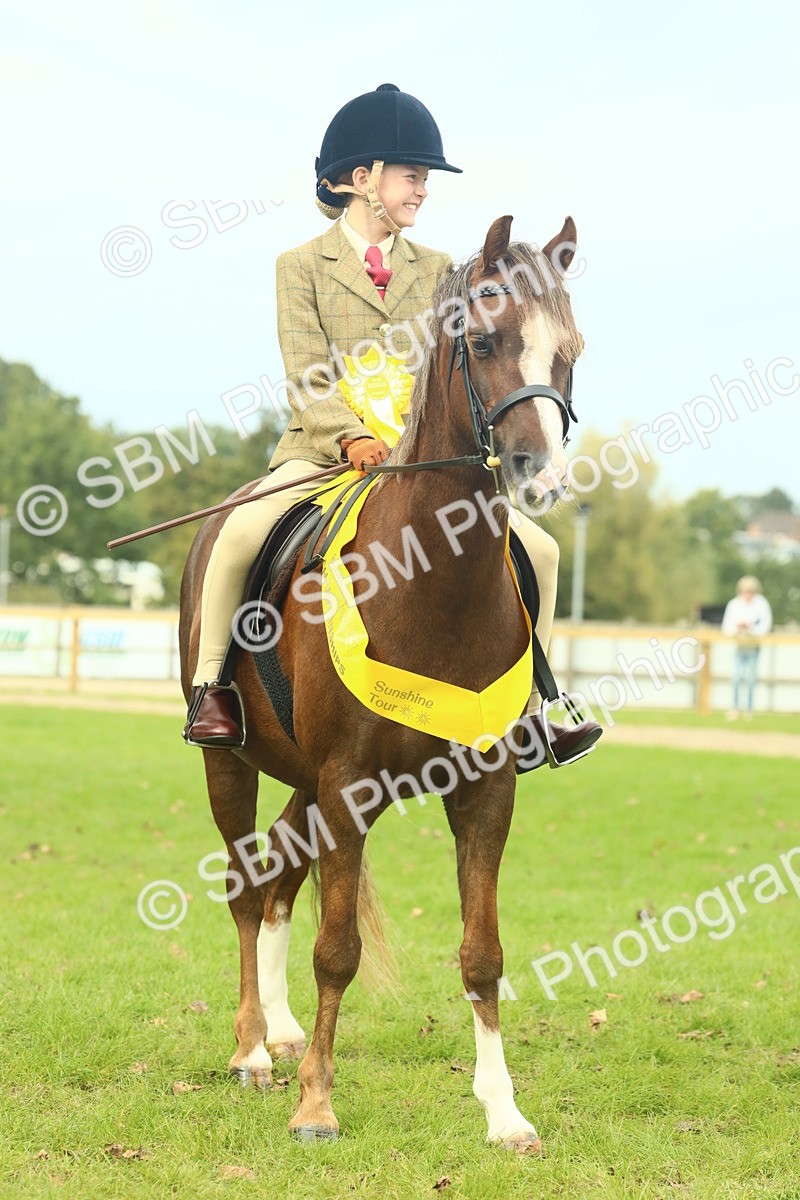 SBM_70009 - S59 - Mountain & Moorland Ridden Small Breeds