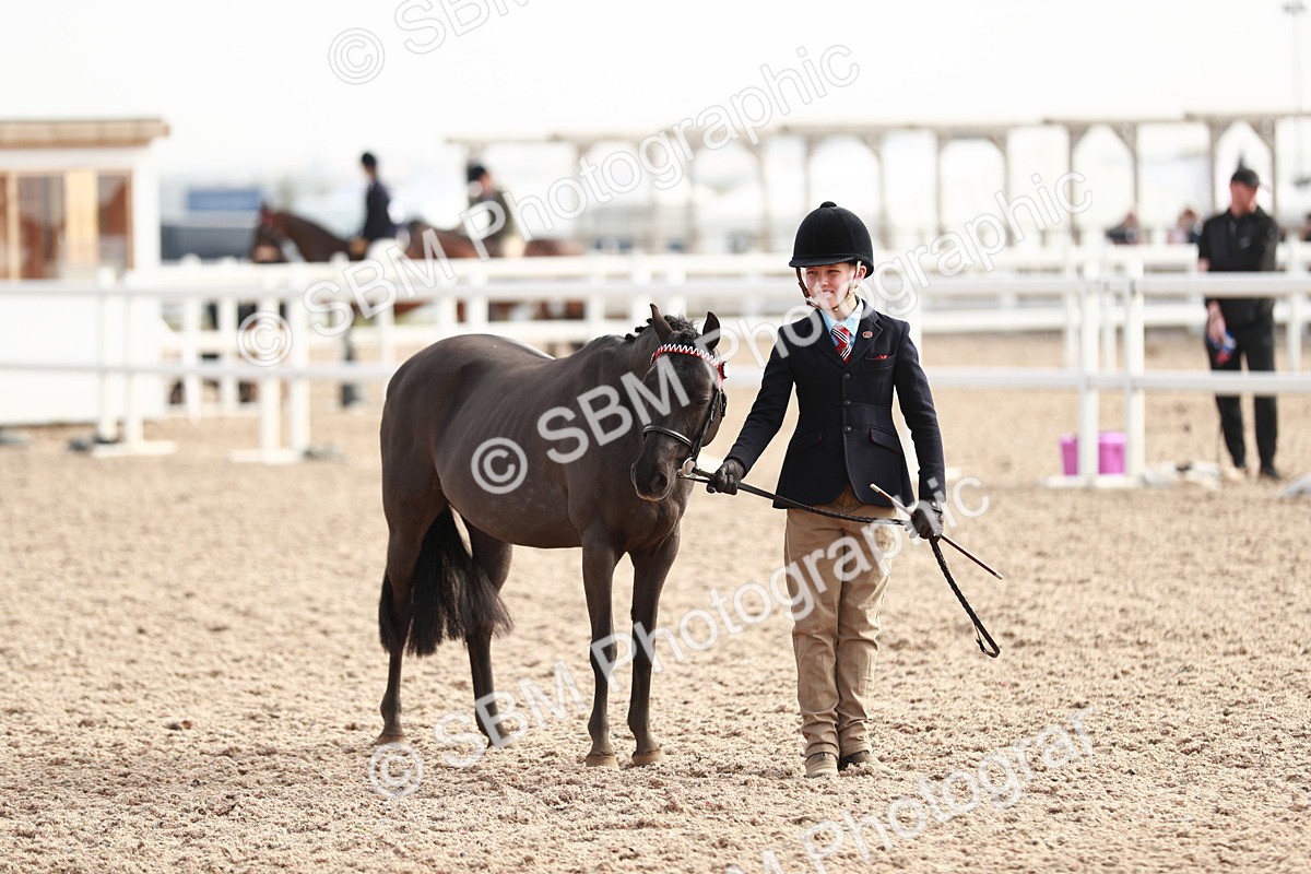 SBM_10592 - Class 204 Young Handler, 11-16 years