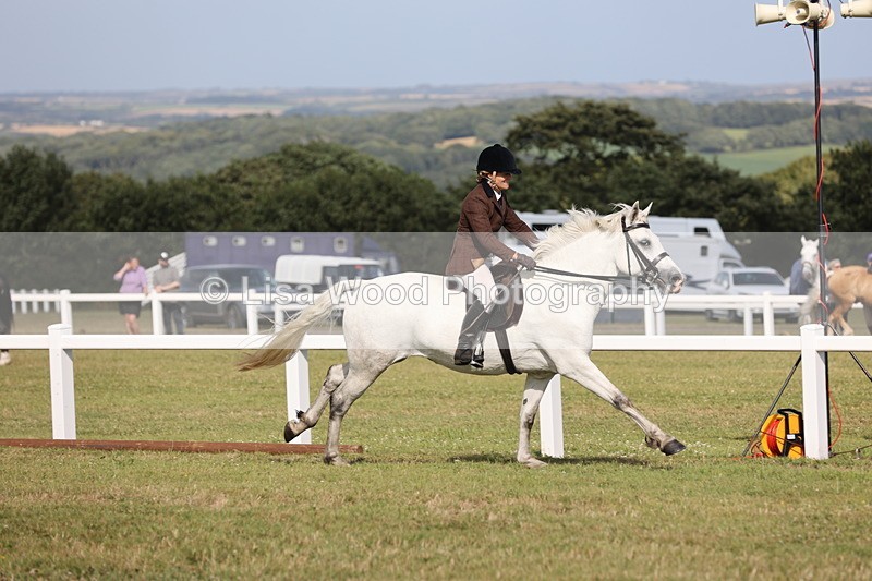 JPP_2926 - Class 20: Working Hunter 70cm