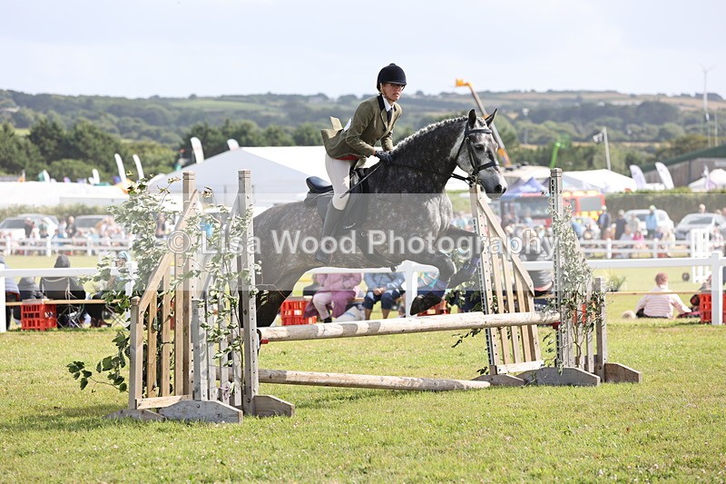 JPP_2598 - Class 20: Working Hunter 70cm