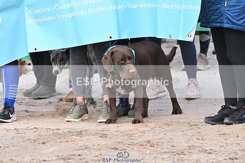 250905-184639-00036 - Opening Ceremony