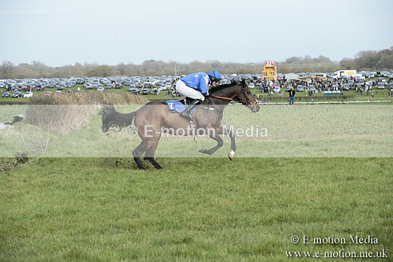 PtP 230319 347 - VWH Hunt Siddington Point-to-Point Racing 23/03/19