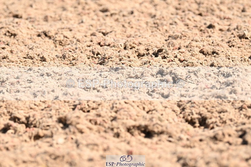 240621A-102212-01785 - Cls 2 BD Prelim 19