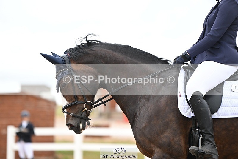 250705-175532-03038 - N3 Section BDNOV3 15.55 to 17.19