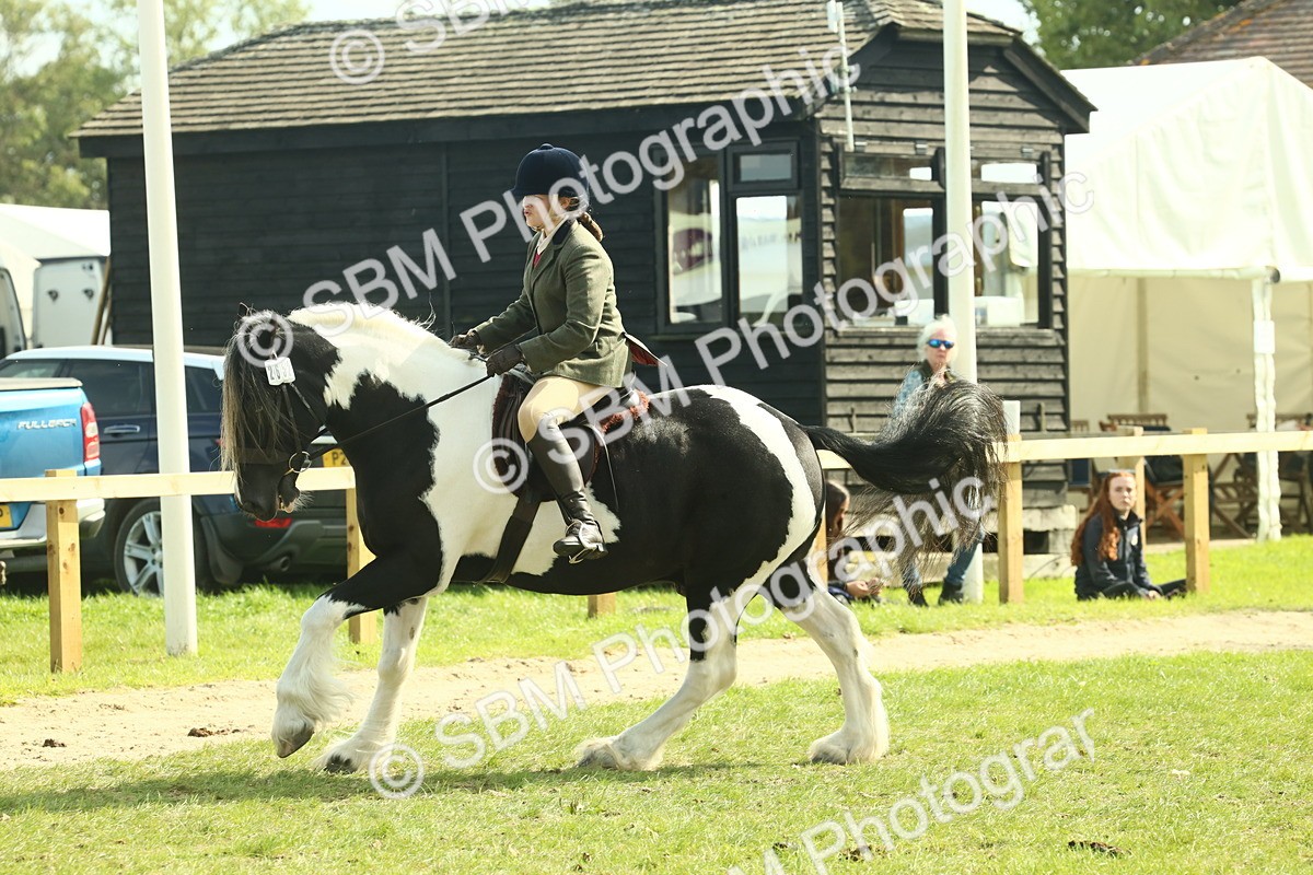 SBM_68814 - S58 - Mini Show Cob Ridden