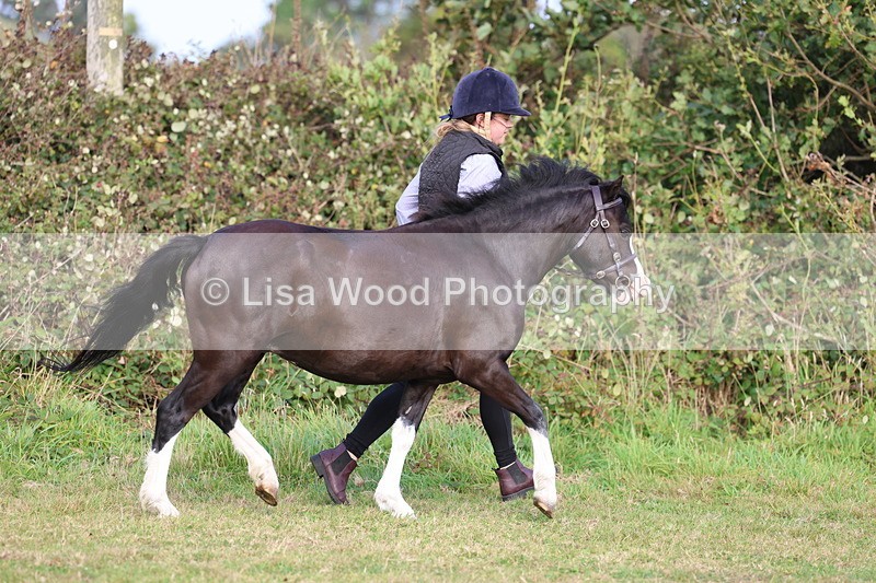 3E7A3146 - Class 12: M & M Small Breeds