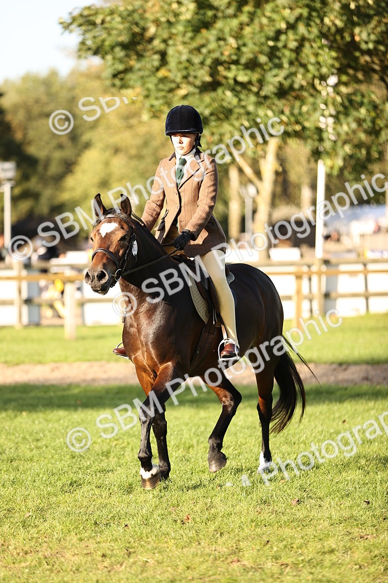 SBM_29615 - S7 - Novice & Newcomers Ridden Pony