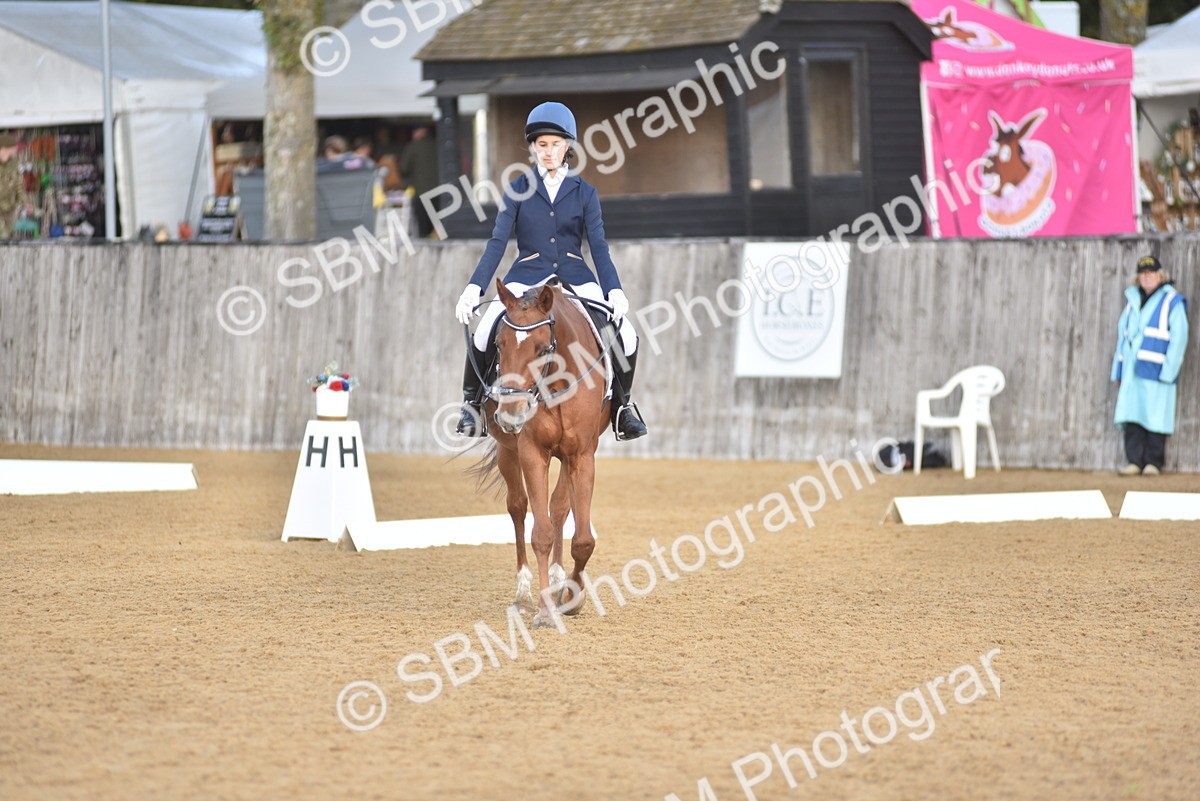 SBM_48924 - D22 - Junior Championship Intro 3