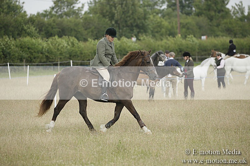 B230619-0184 - Bourne Valley Riding Club Summer Show 23/06/19