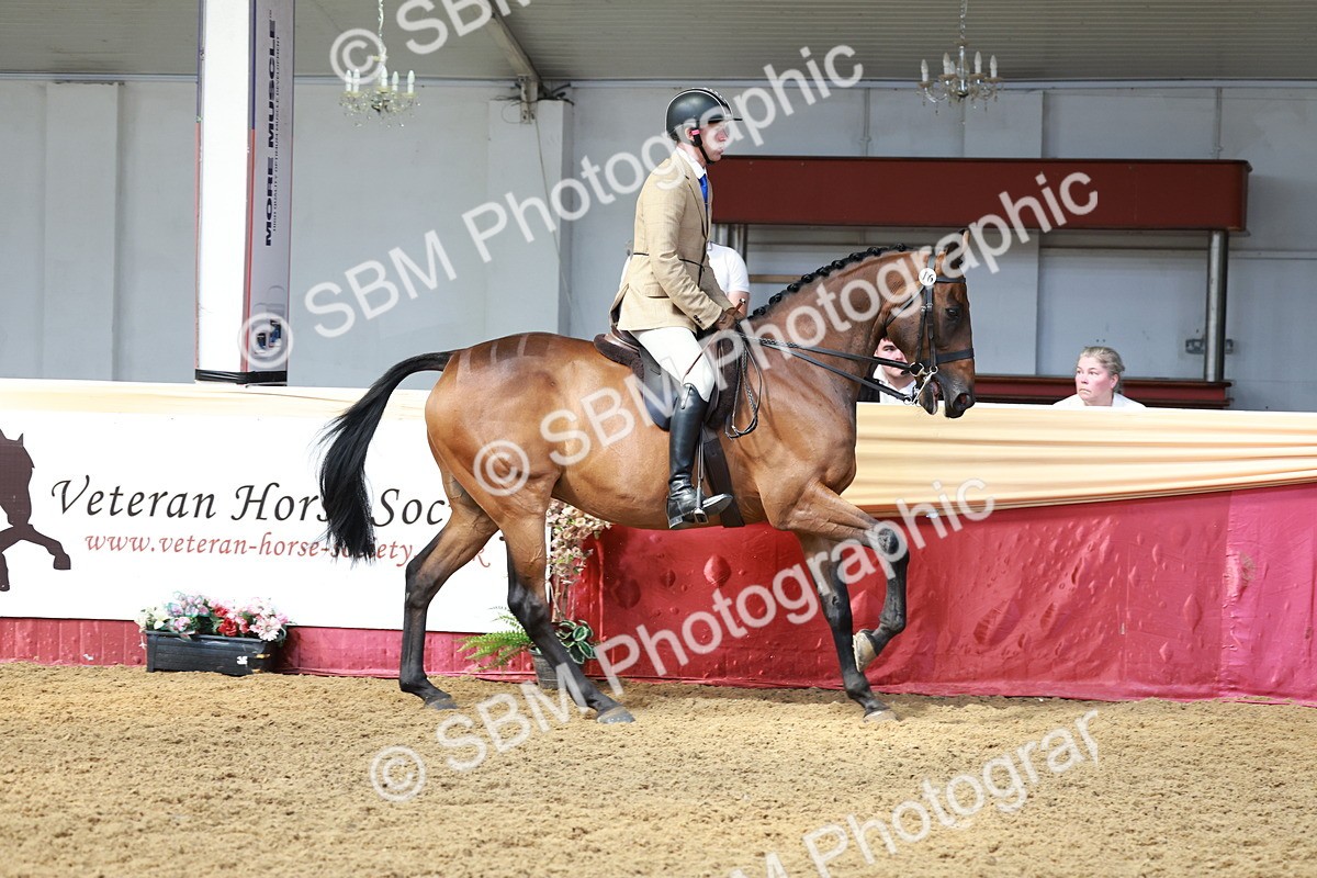 SBM_14893 - Class 108 - Ridden Retired Racehorse