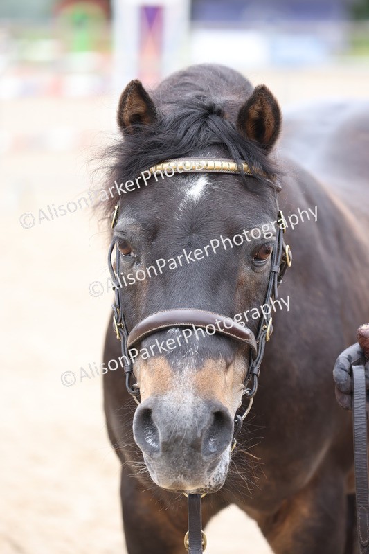 20250524-0758 - Class 7 - Veteran