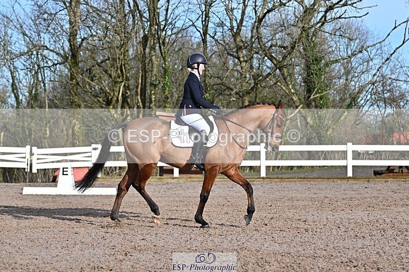 250125-101815-00152 - Dressage - CT Class 4 BE95 (80cm)