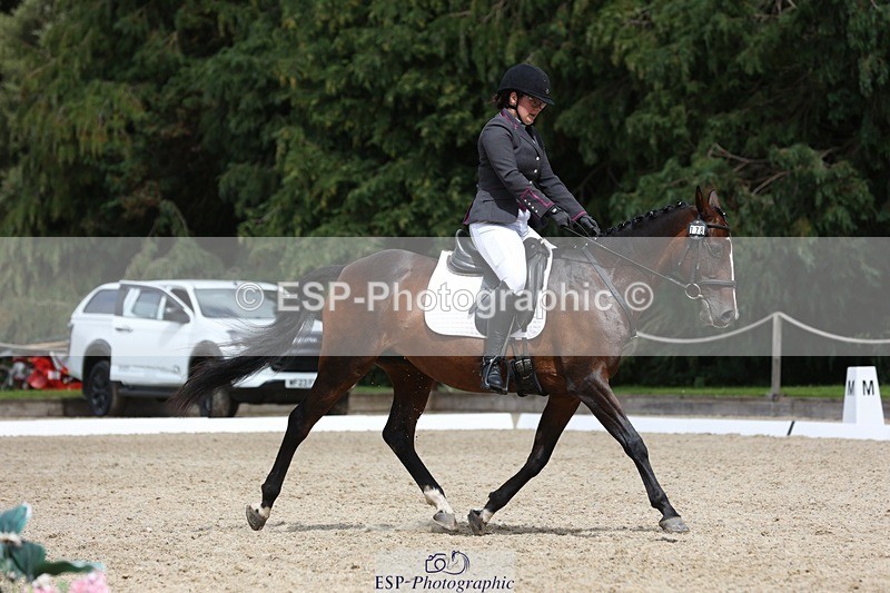 230812-135336-04335 - Cls 5 Novice Bronze 13.40 to 14.45 break
