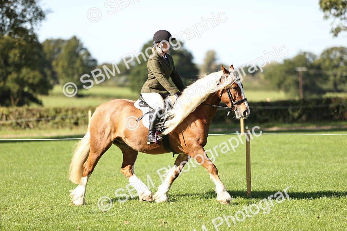 SBM_16908 - S2 - TSR Ridden Pony Showing
