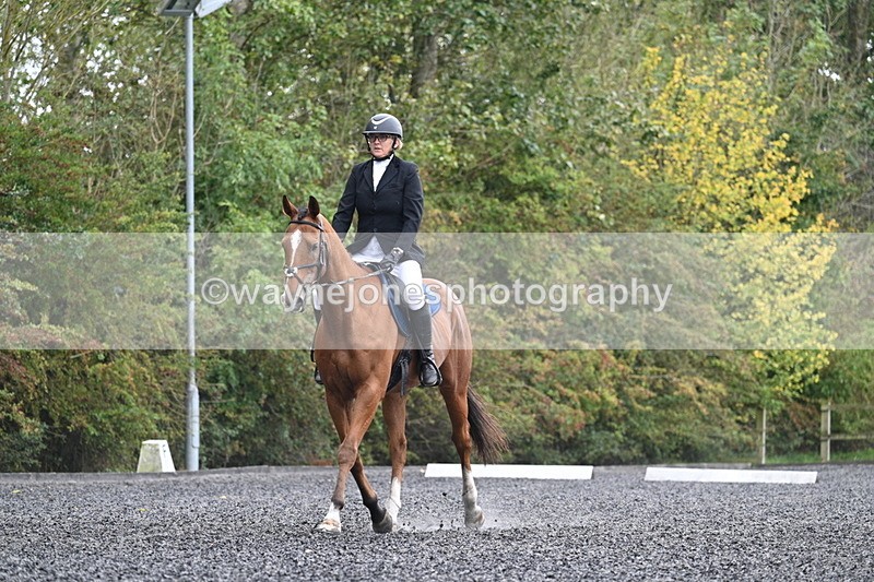 WJ7_3410 - Time 09:54 to 10:54