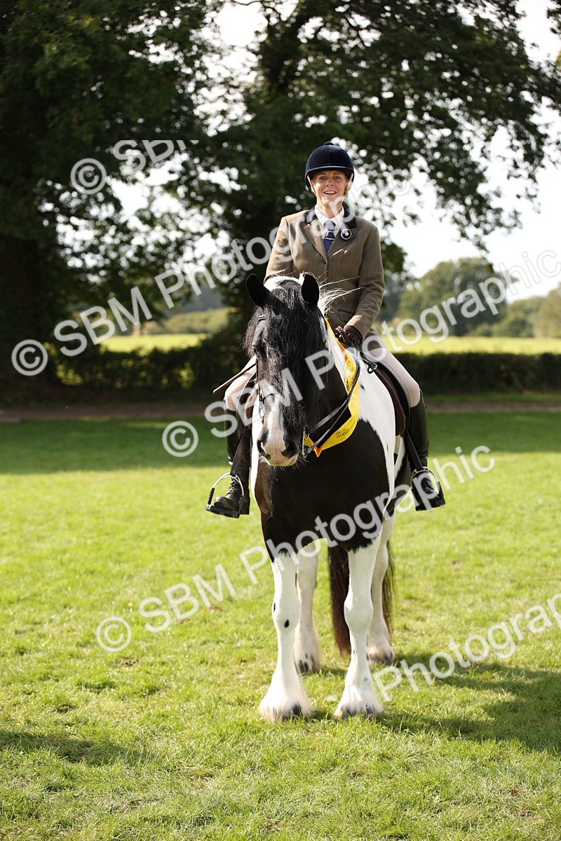 SBM_70148 - S65 - Piebald & Skewbald Horse Ridden