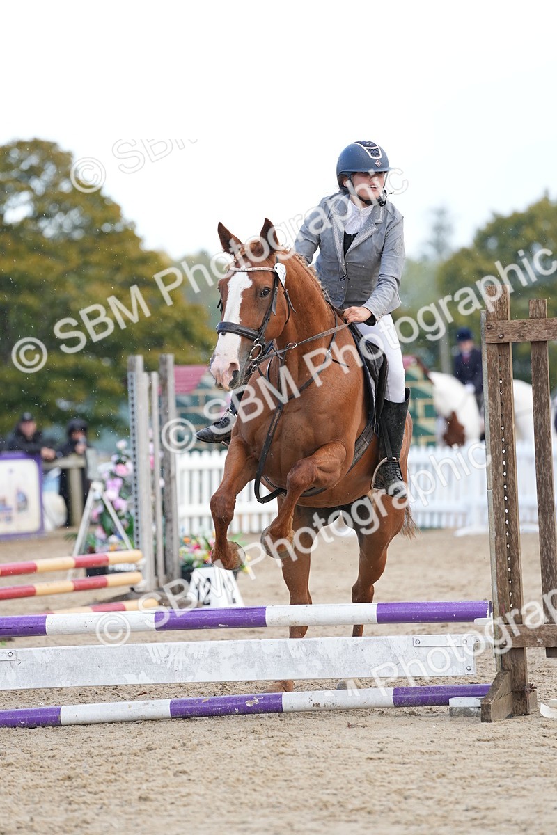 SBM_21177 - J49 - Open 50cm