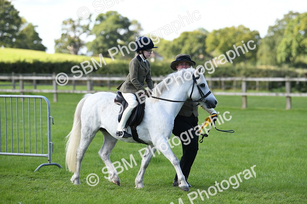 SBM_39717 - S18 - Novice & Newcomers Lead Rein Pony