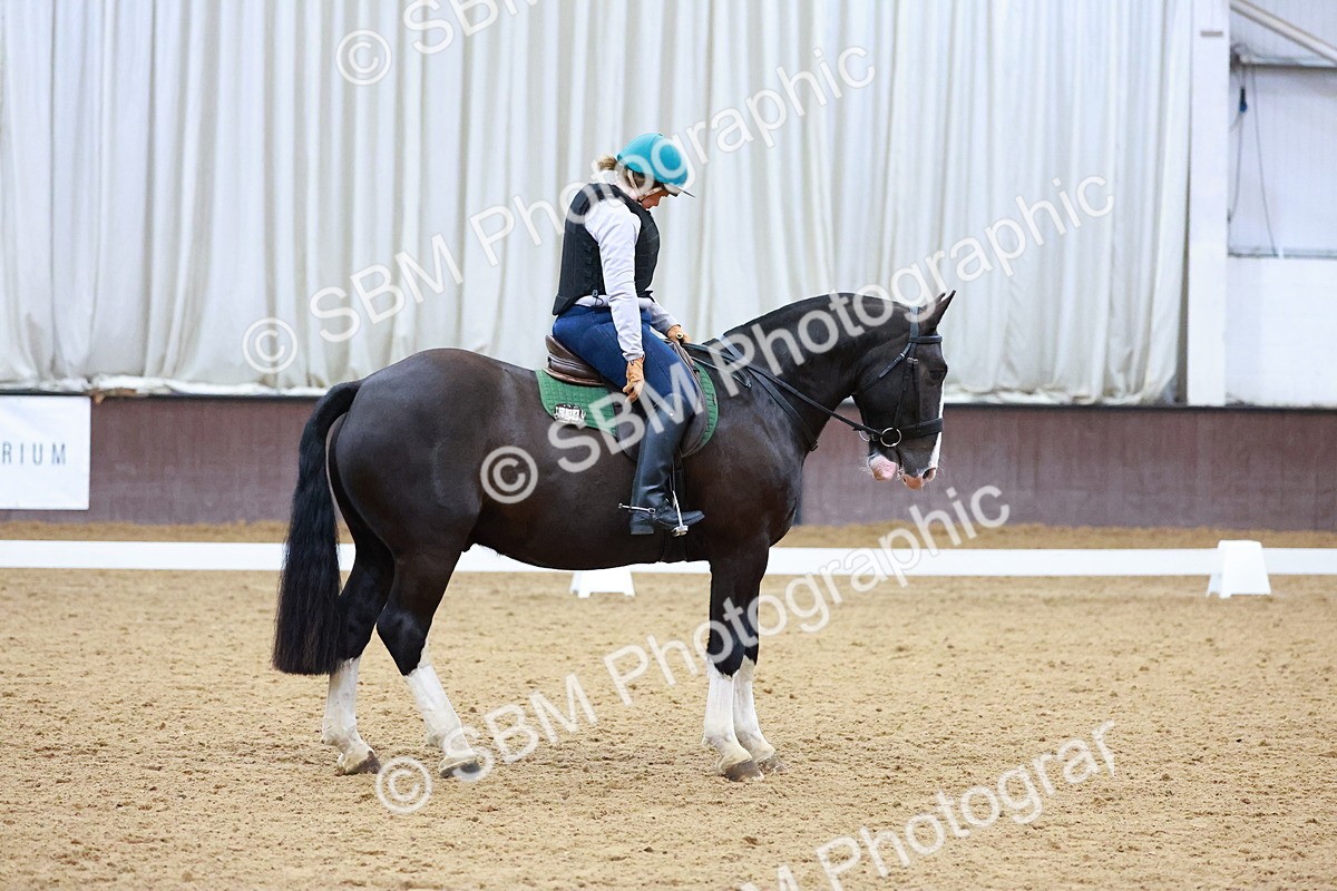 1I0A0926 - Class 3-6 - Prelim 1-Novice 2