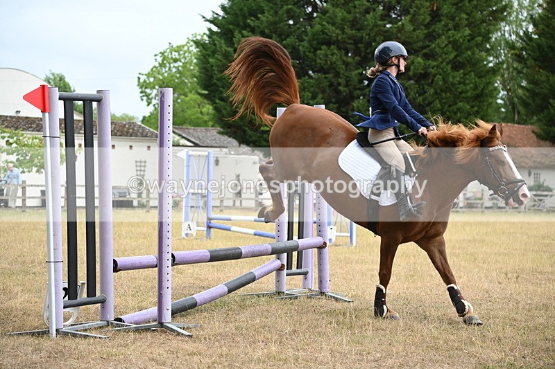 WJ6_0202 - Class 13 Novice Jumping 60cm