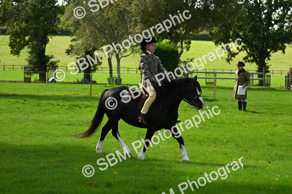 SBM_02705 - S3 - TSR Ridden Pony Showing