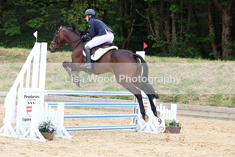 3E7A6453 - Class 4: Senior British Novice/90cm open
