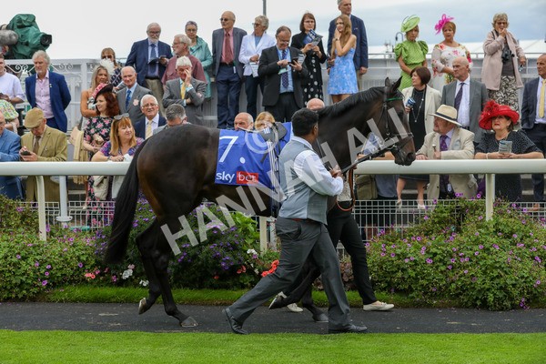 240823-Race 1-Relief Rally-4991 - Race 1 1.50pm Sky Bet Lowther Stakes