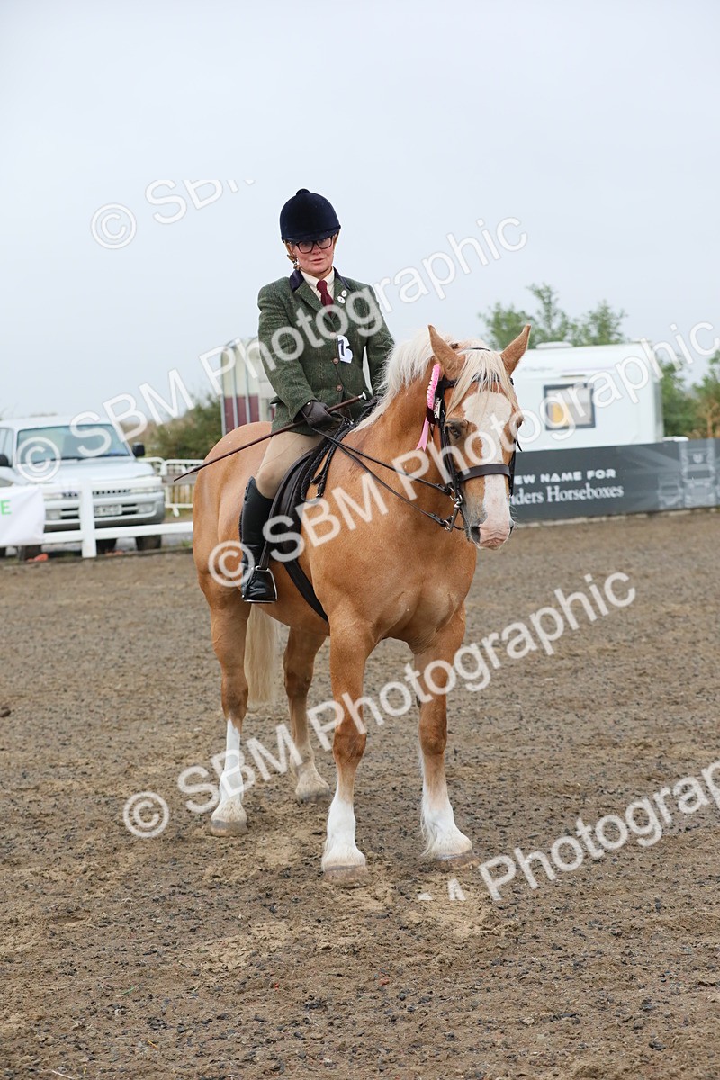 SBM_20395 - Class 803 - Ridden Combination 65+