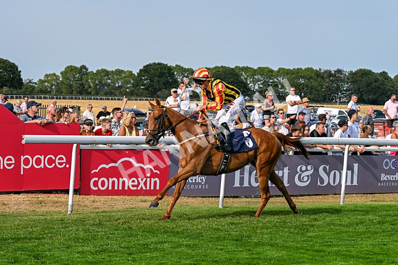 130826-Race 6-Saxon Grace-9925 - Race 6 16.45pm Racing Again On Saturday 29 August Handicap
