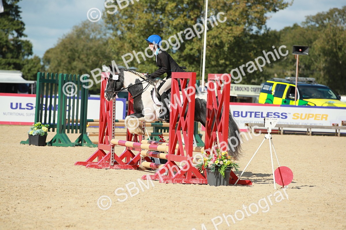 SBM_25069 - J28 Senior 60cm Championship